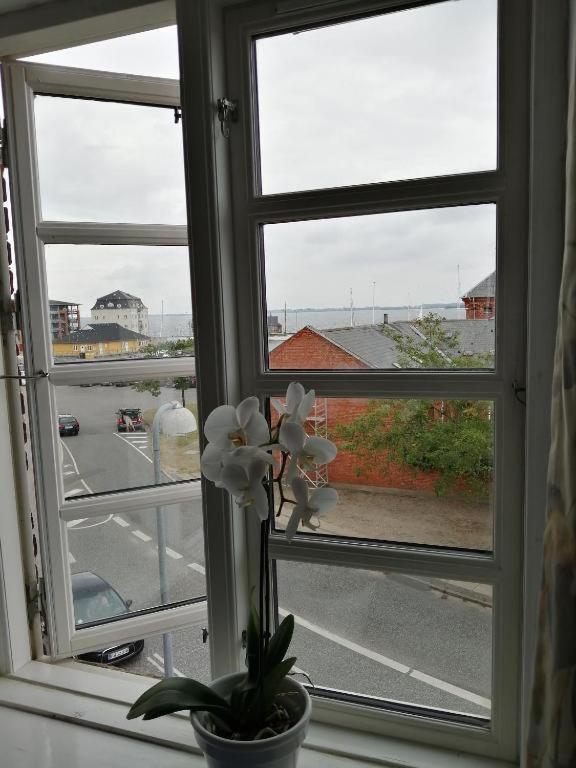 Det Gamle Hotel Rudkøbing Zewnętrze zdjęcie